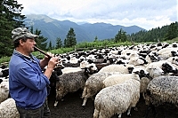 На Закарпатській Іршавщині відбудуться проводи вівчарів на полонину