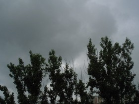  Прогноз погоди на Закарпатті та в Ужгороді на суботу, 8 травня