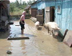  Оперативна інформація про паводкову ситуацію на Закарпатті на 14:00 4 червня 