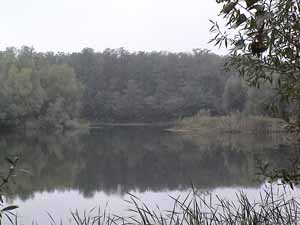 27 червня на закарпатській Рахівщині відсвяткують День Дунаю