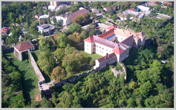 Викладач Закарпатського держуніверситету зняв фільм про Ужгородський замок, щоб студенти не пропускали його лекцій
