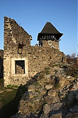 Невицький замок1