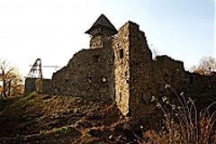 Невицький замок.