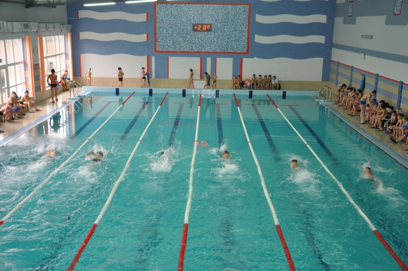 В Ужгороді пройшов відкритий чемпіонат міста з плавання серед дітей (ВІДЕО)

