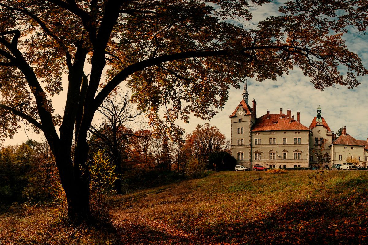 Дендропарк в санаторії "Карпати" (ФОТО)