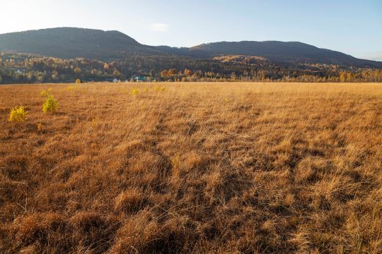 Верхове болото “Глуханя” (ФОТО)