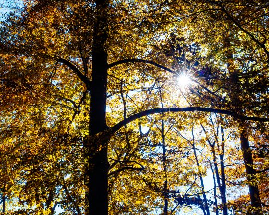 Урочище Кузій (ФОТО)