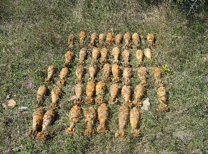 На Воловеччині у лісі знайшли 31 мінометну міну