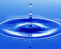 У Берегові відзначать Всесвітній день води (ПРОГРАМА)