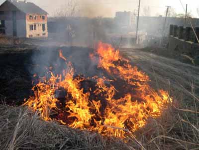 У селі Черна на Виноградівщині впродовж двох годин підпалили 4 навіси з сіном