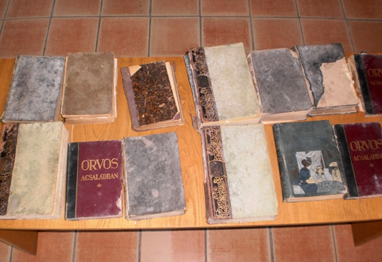 Чопські митники не випустили в Угорщину 13 старовинних книг (ФОТО)
