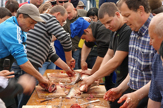 На фестивалі в Берегах були юшка, вино, страуси та угорські корови (ФОТО, ВІДЕО)