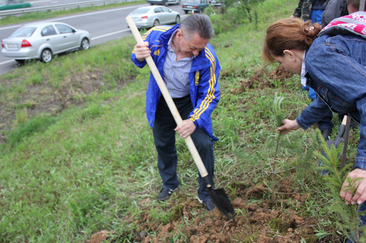 Чиновники Закарпатської ОДА висадили 650 дерев (ФОТО)