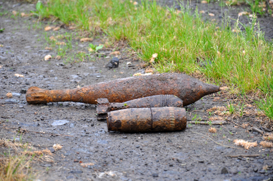 На Закарпатті співробітники СБУ виявили міни та снаряд (ФОТО)