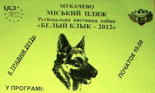 У Мукачеві відбудеться виставка собак "Біле ікло 2012"