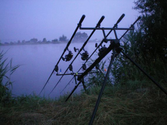 Закарпатські рибалки впіймали найбільших риб в змаганнях на Львівщині (ФОТО)