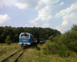 «Боржавська ініціатива» каже, що Львівська залізниця говорить неправду, або непоінформована