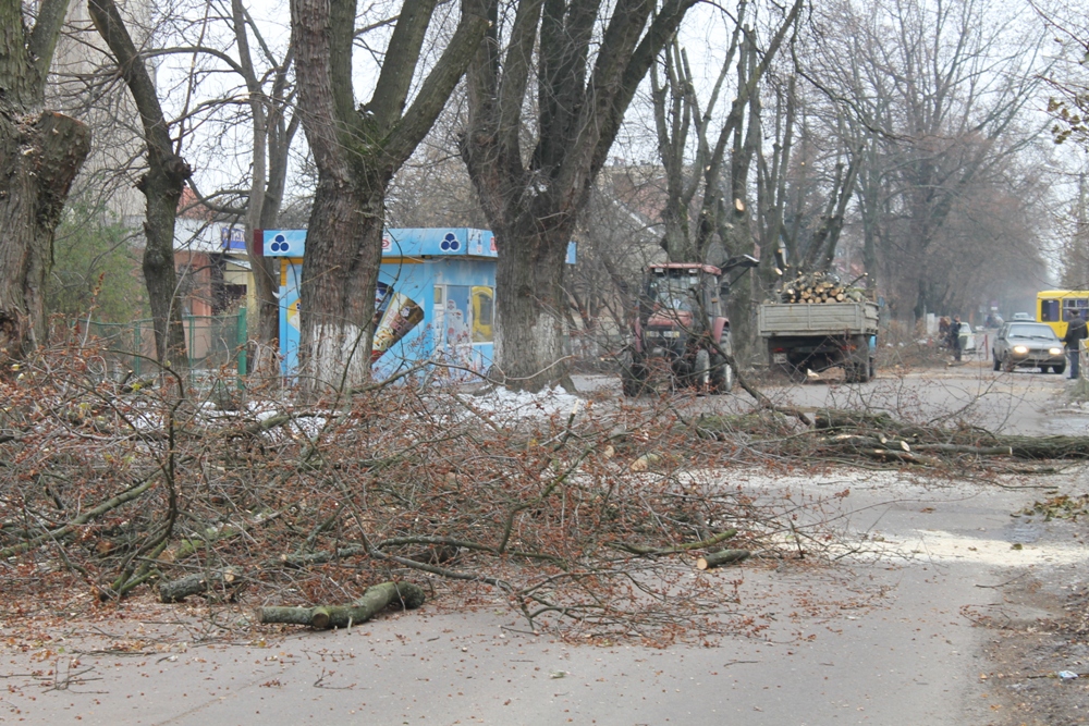 На вулиці Загорській в Ужгороді роблять обрізання (ФОТО)