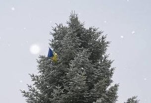 ФОТОФАКТ. На новорічній ялинці в Тячеві хтось прикріпив прапор України
