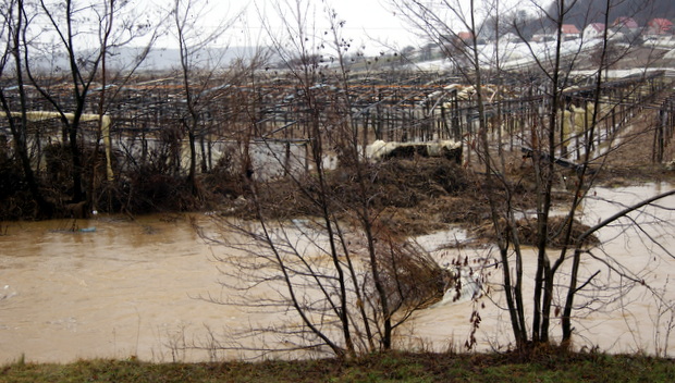 Рівень води у Боржаві лише на 30 см не досяг критичної позначки (ФОТО)