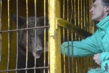 У реабілітаційний центр НПП "Синевир" привезли нового ведмедя (ВІДЕО)