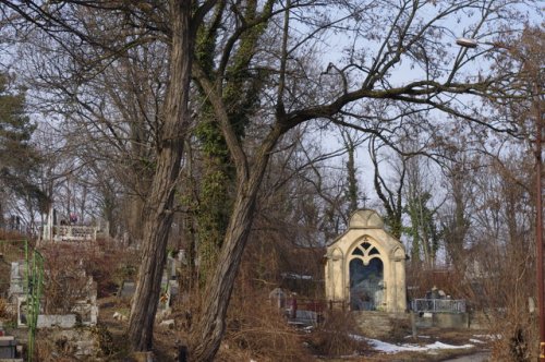 В Ужгороді затримали крадіїв металу з кладовища Кальварія