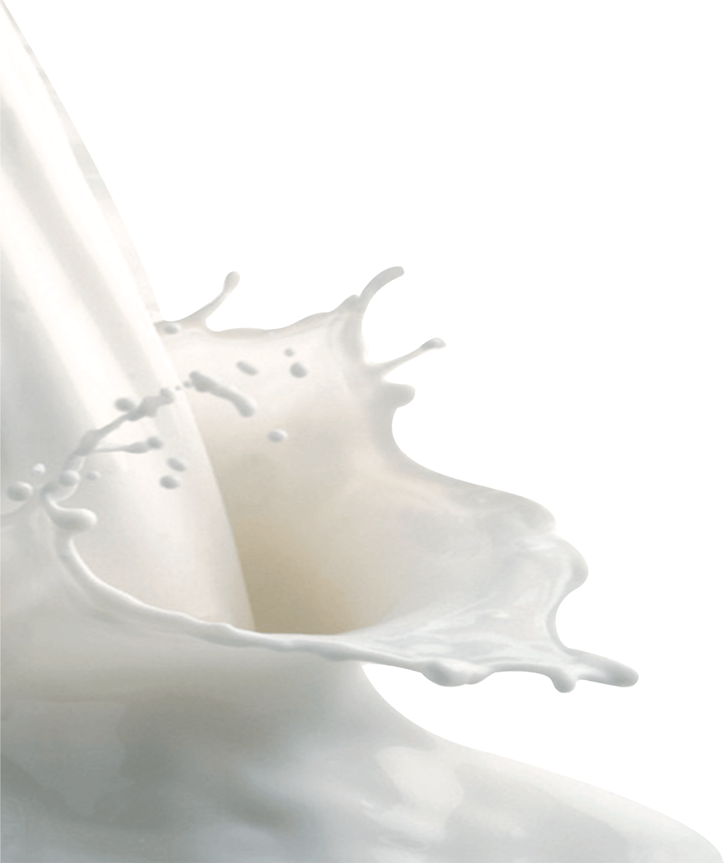 На Закарпатті найрентабельніше в Україні молоко