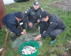 На Іршавщині браконьєри цькували інспекторів рибоохорони собакою (ФОТО)