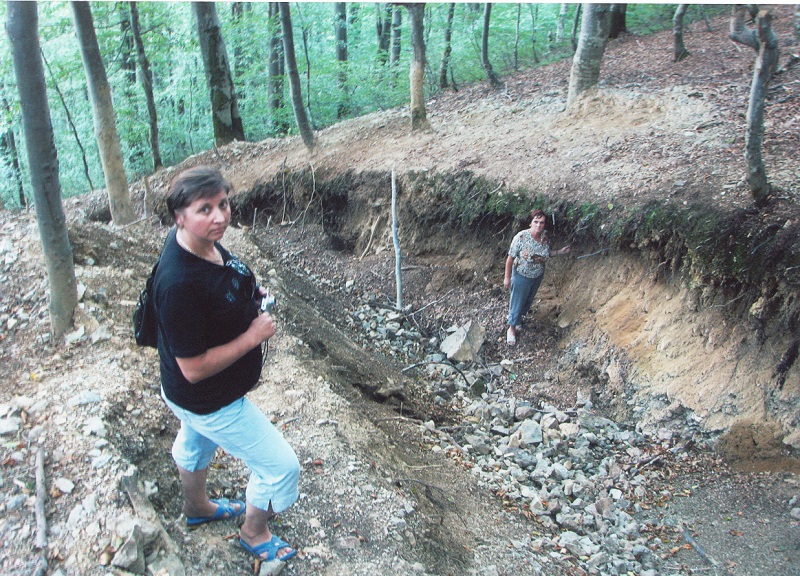 Експертизу дій "геологів" з ТОВ "Мараморош" було зроблено ще 2,5 місяці тому – Лукша