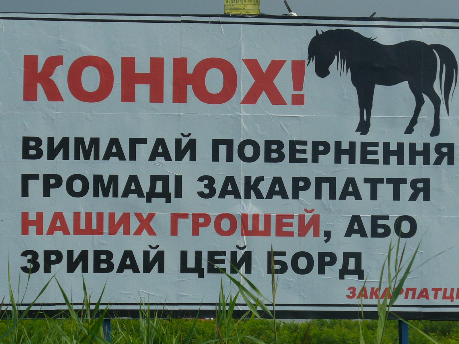 За 50 метрів від офісу Партії регіонів від "Конюха" вимагають зайнятися поверненням грошей закарпатців (ФОТО)