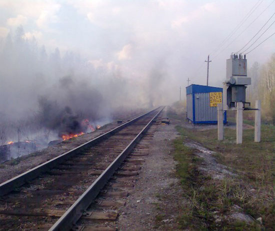 Через пожежу на колії на Закарпатті завернули поїзд зі смолою, лісоматеріалами і вугіллям