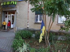 У Берегові невідомі вчинили наругу над Державним Прапором України