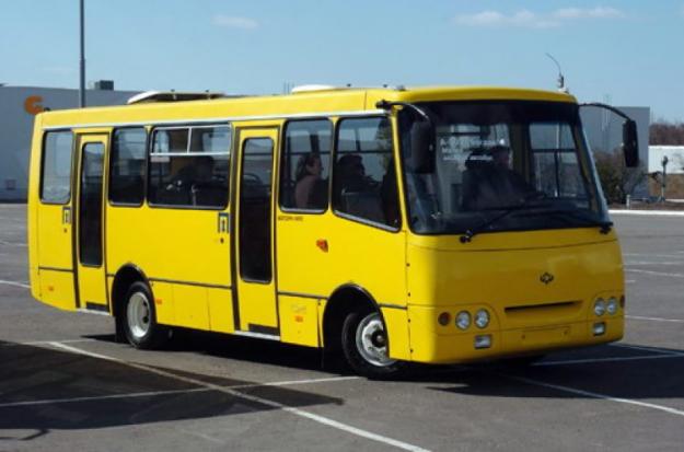 На Закарпатті минулоріч під час перевірок рейсових автобусів виявлено 178 порушень, 13 осіб покарано