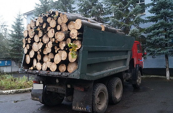 В Іршаві водій КамАЗу незаконно перевозив 7 кубометрів лісу