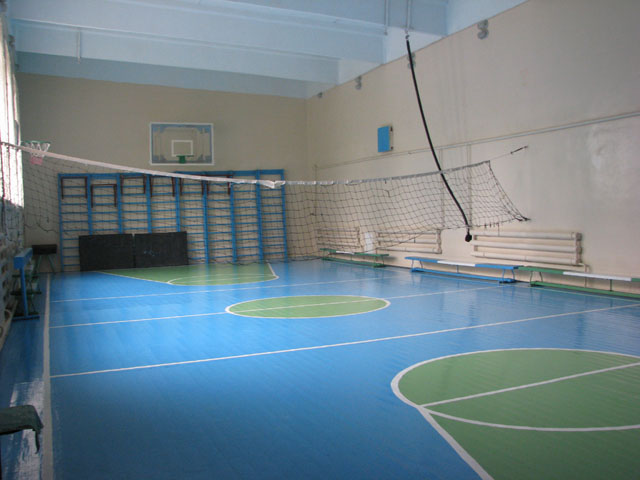 Закарпатська ОДА розгляне можливість виділення коштів на капремонт спортзали у сільській школі на Рахівщині