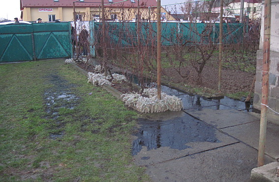 На Закарпатті ліквідовували витоки нафти в Чабанівці на Ужгородщині та Ракошині на Мукачівщині