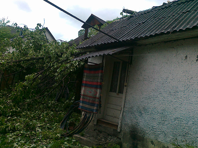 Шквальний вітер валив дерева та знеструмив 22 населених пункти Закарпаття (ФОТО)