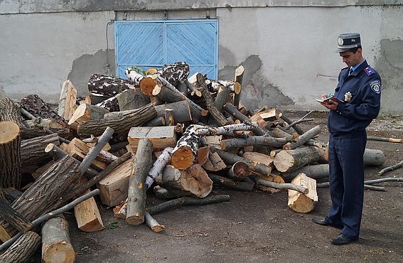 На Іршавщині затримано дві вантажівки з підозрою на "нелегальну" деревину (ФОТО)