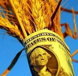 На Закарпатті підприємство заборгувало Аграрному фонду 2,9 млн грн за непоставлене зерно