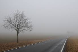Мешканців Закарпаття попереджають про туман видимістю 200-500 метрів