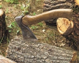 На Рахівщині розпочато кримінальне провадження за фактом самовільної рубки дерев вартістю майже 500 тис грн