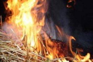 На Іршавщині та Виноградівщині пожежи в навісах знищили кілька тонн сіна