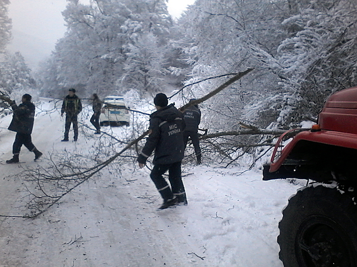 На Перечинщині на проїжджу частину впало дерево, що не витримало ваги снігу (ФОТО)