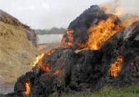 На Великоберезнянщині вогнем знищено навіс із 1,5 тоннами сіна вартістю у 10 тис грн