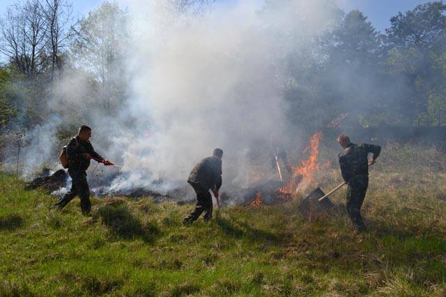На Закарпатті рятувальники масштабно відпрацьовували навички гасіння лісових пожеж (ФОТО)