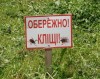 Щороку на Закарпатті фіксують більше сотні звернень постраждалих від енцефалітного кліща (ВІДЕО)
