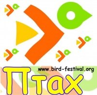 У червні у Нижньому Селищі на Хустщині пройде дитячий фестиваль театрального мистецтва «Птах» (ПРОГРАМА)