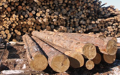 За користування лісовими ресурсами, водою та надрами закарпатці сплатили 39 млн грн рентної плати