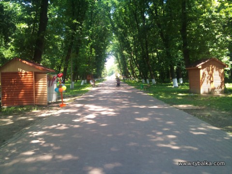 По виділенню земельних ділянок на території парків Ужгорода відкрито два кримінальні провадження (ДОКУМЕНТ)