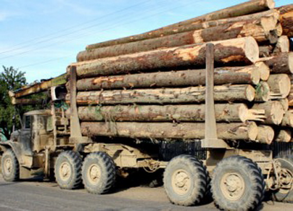 На Мукачівщині затримали "Урал", який перевозив 12 кубометрів лісу без належних документів